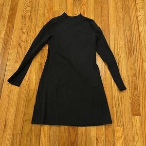 Everlane Mockneck Dress